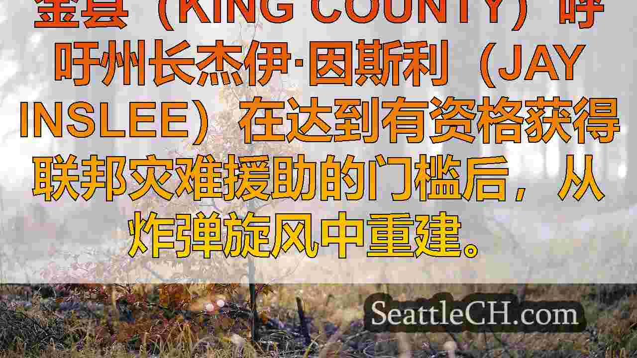 西雅图新闻 SeattleCH