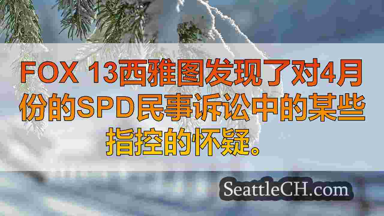西雅图新闻 SeattleCH