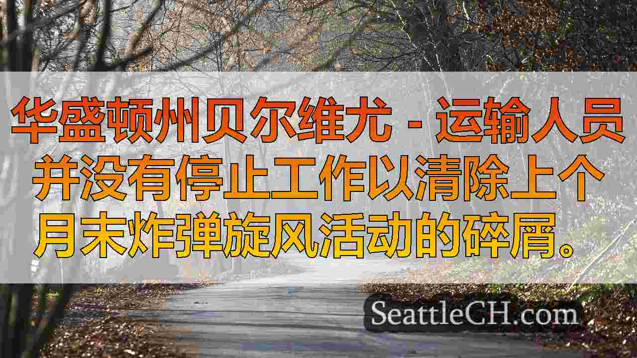 西雅图新闻 SeattleCH