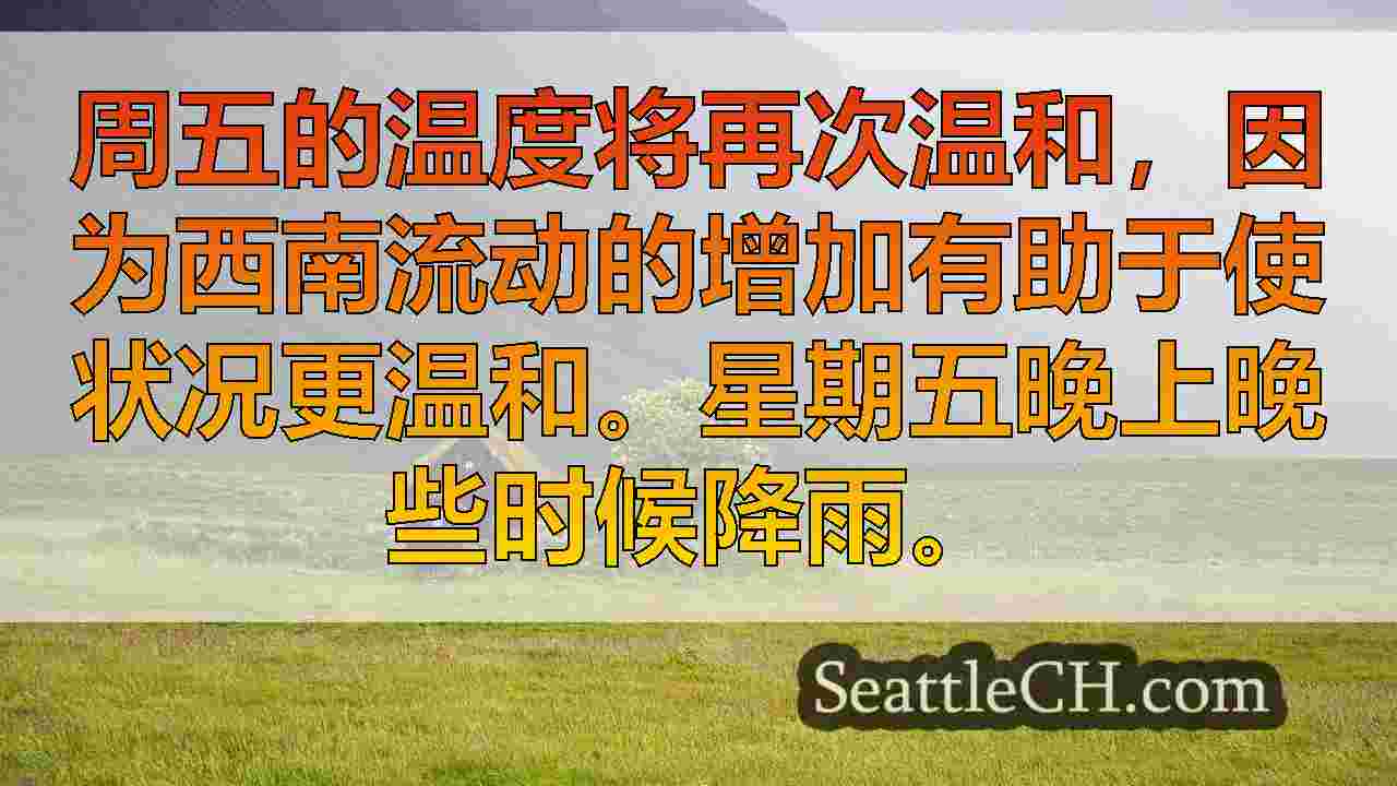 西雅图新闻 SeattleCH