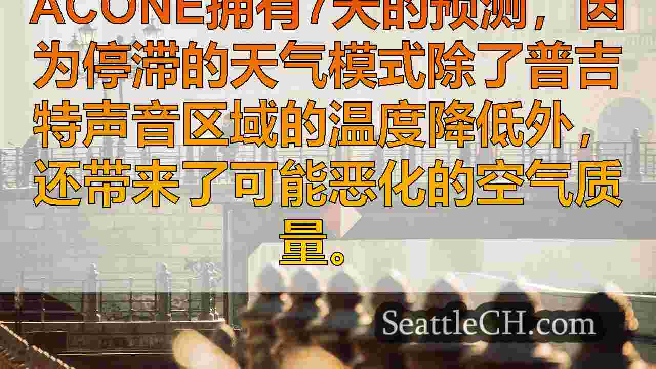 西雅图新闻 SeattleCH