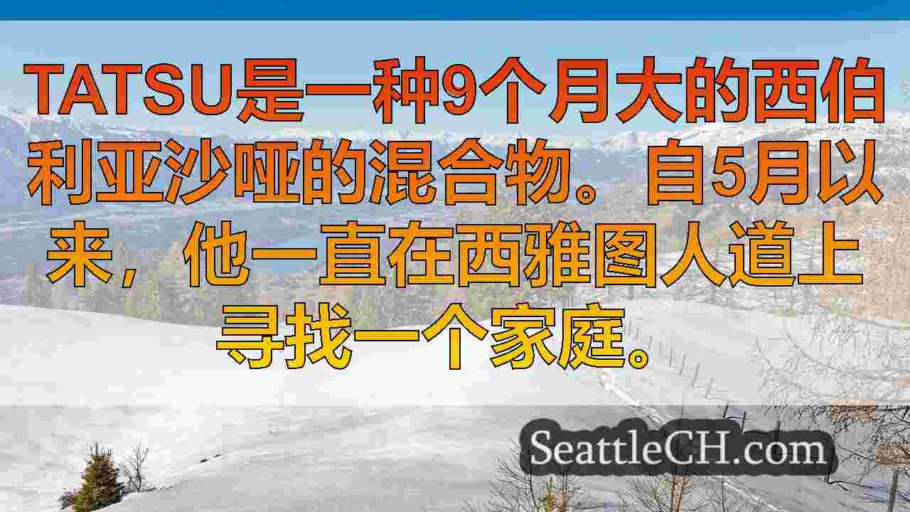 西雅图新闻 SeattleCH