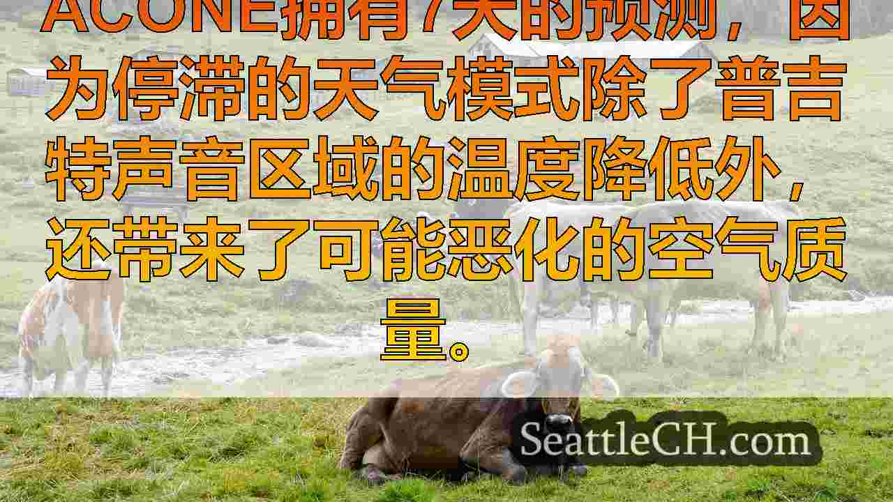 西雅图新闻 SeattleCH