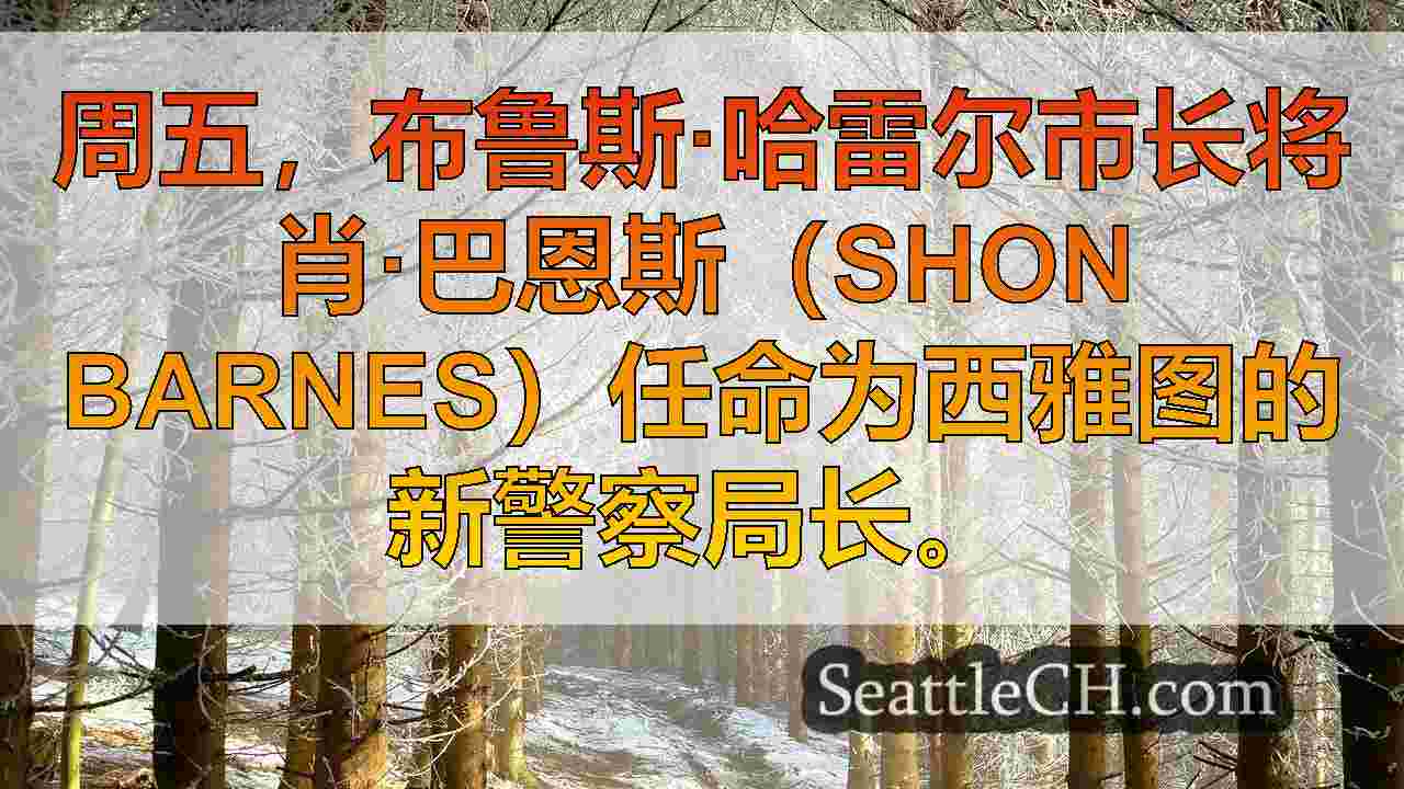 威斯康星州警察局长肖恩·巴恩斯（Shon