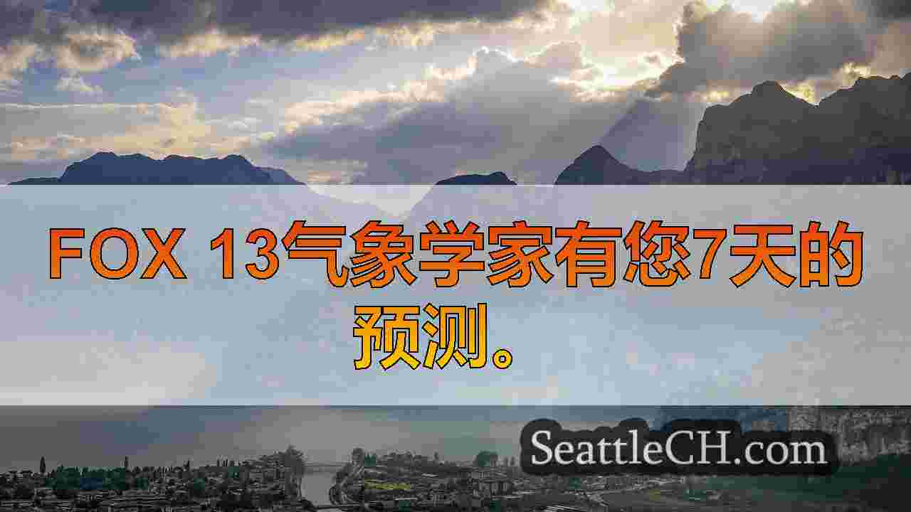 西雅图新闻 SeattleCH