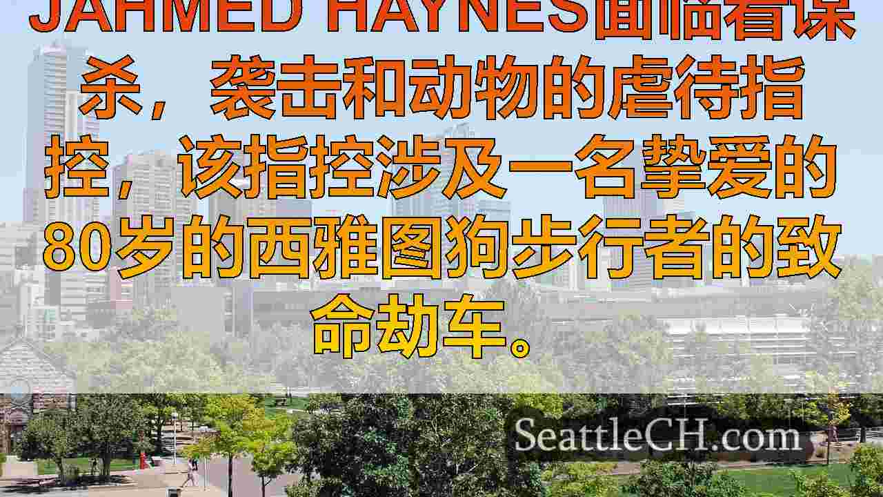 西雅图新闻 SeattleCH