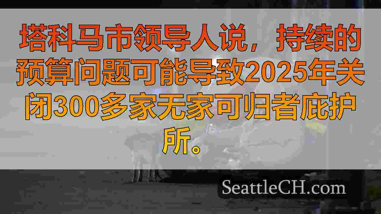 西雅图新闻 SeattleCH