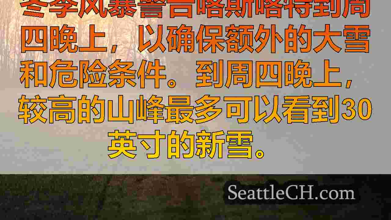 西雅图新闻 SeattleCH