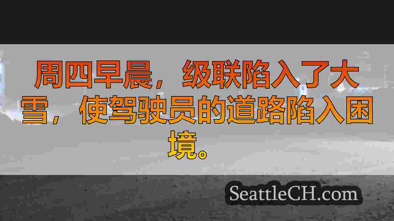 西雅图新闻 SeattleCH