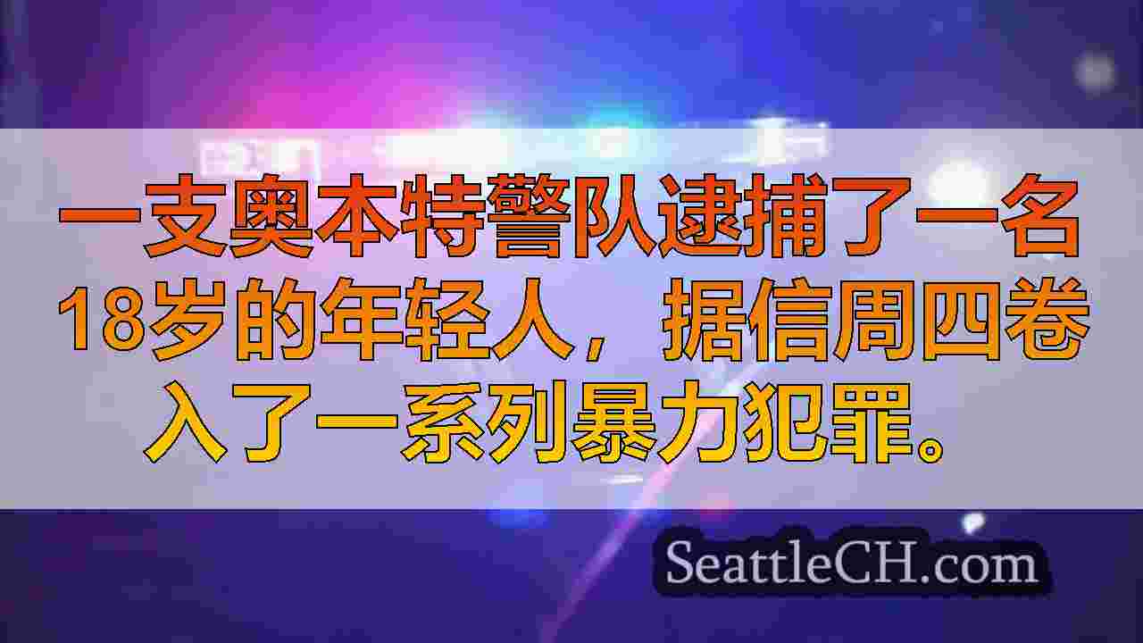 4名青少年，20岁的年轻人在秋季城市闯入未遂的枪支商店中被捕