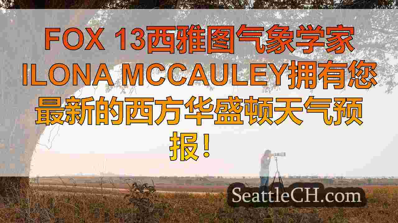西雅图新闻 SeattleCH