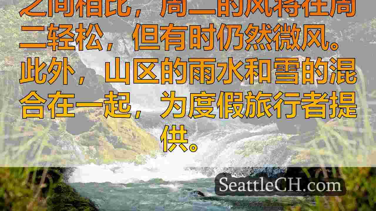 西雅图新闻 SeattleCH