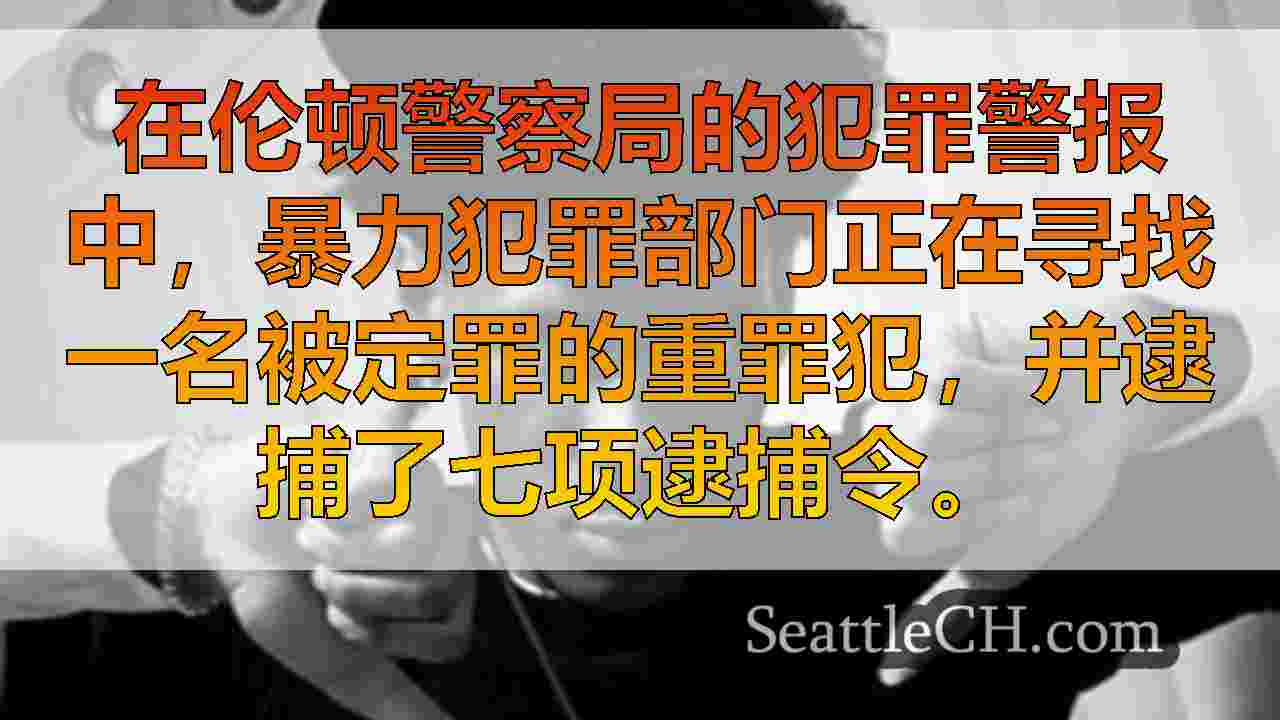 西雅图新闻 SeattleCH