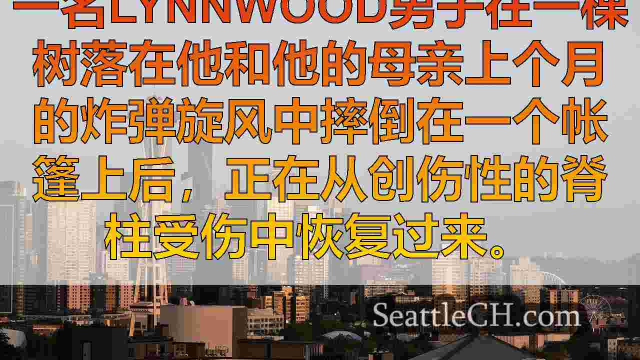 西雅图新闻 SeattleCH