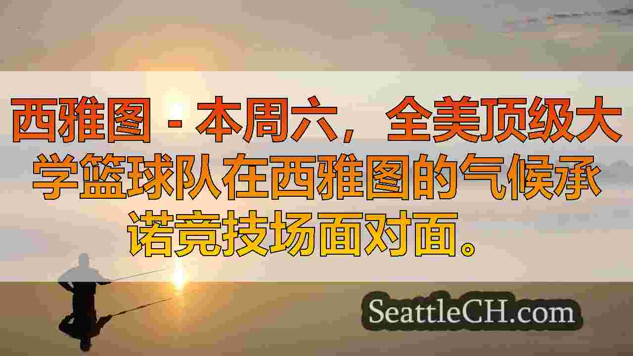 西雅图新闻 SeattleCH