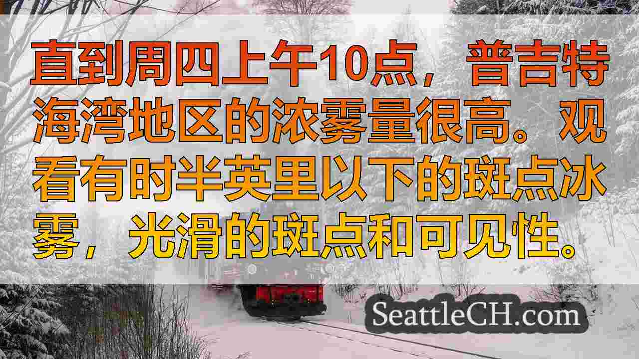 西雅图新闻 SeattleCH