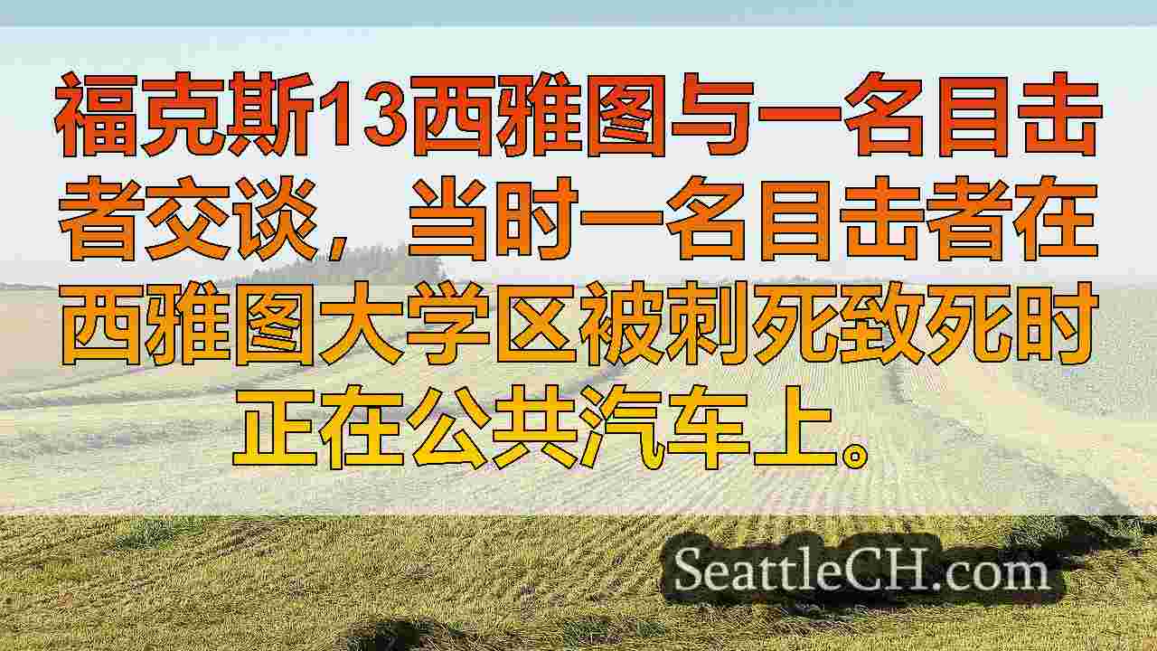 西雅图新闻 SeattleCH