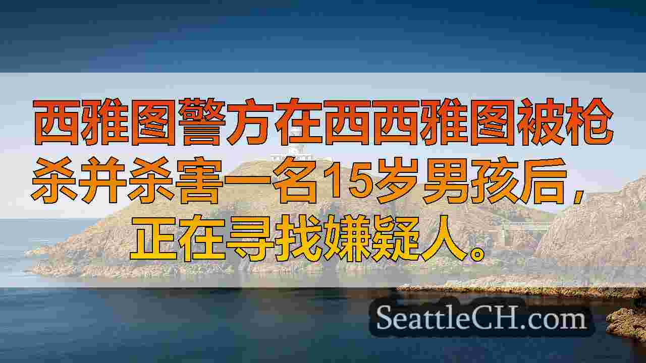 15岁的男孩被枪杀，在西西雅图被杀