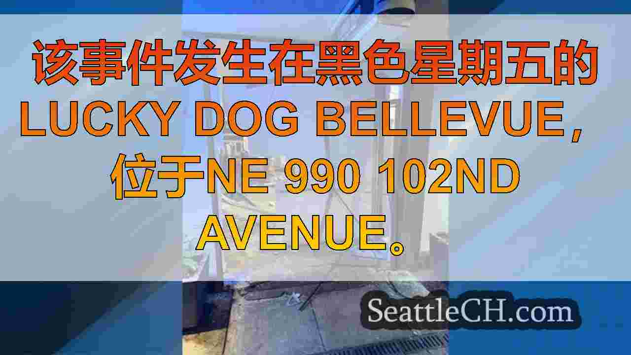 西雅图新闻 SeattleCH