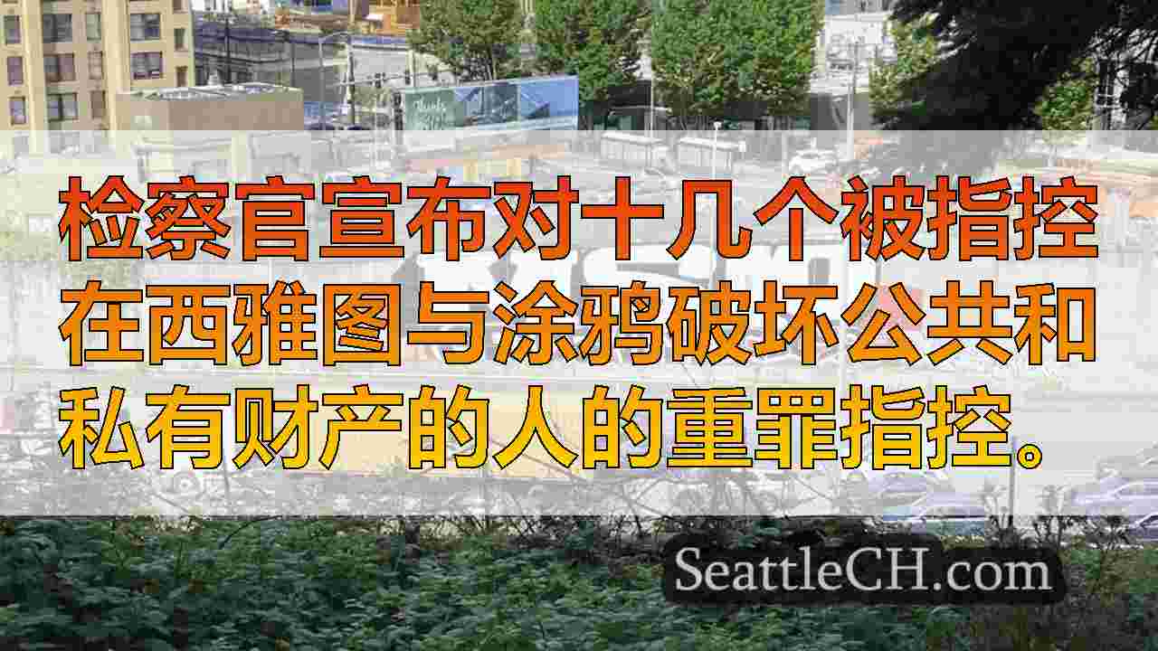 西雅图检察官在重罪涂鸦案件中收取17项，寻求赔偿赔偿