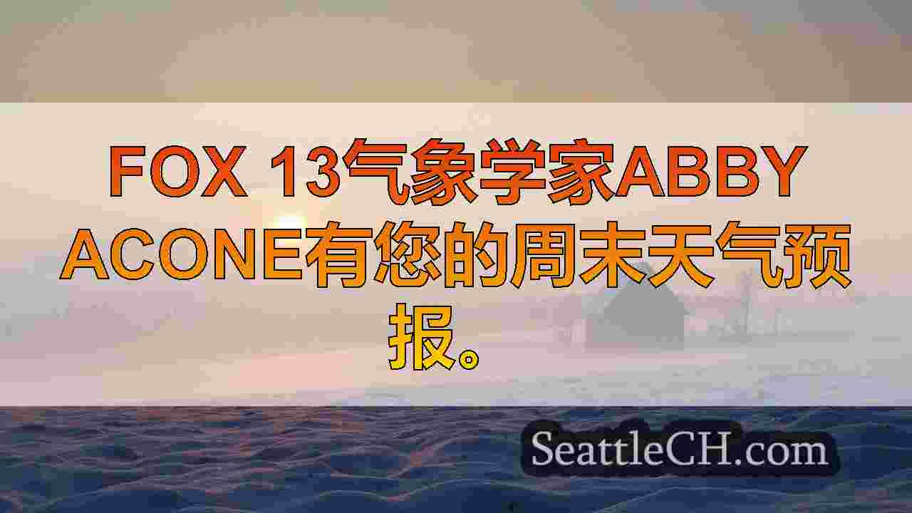 西雅图圣诞节周的灰色，潮湿和狂热的天气
