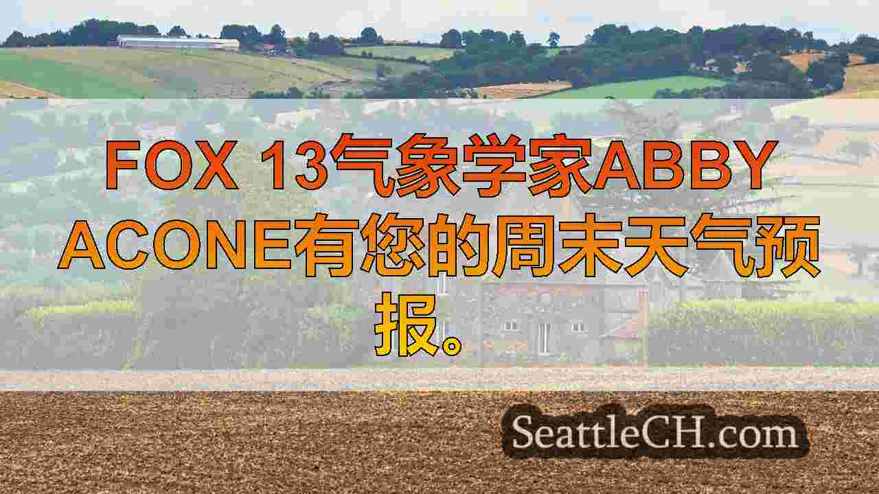 西雅图新闻 SeattleCH
