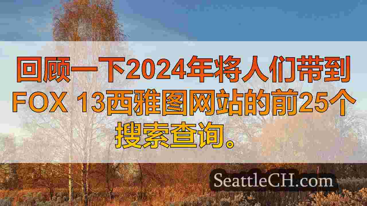 西雅图新闻 SeattleCH