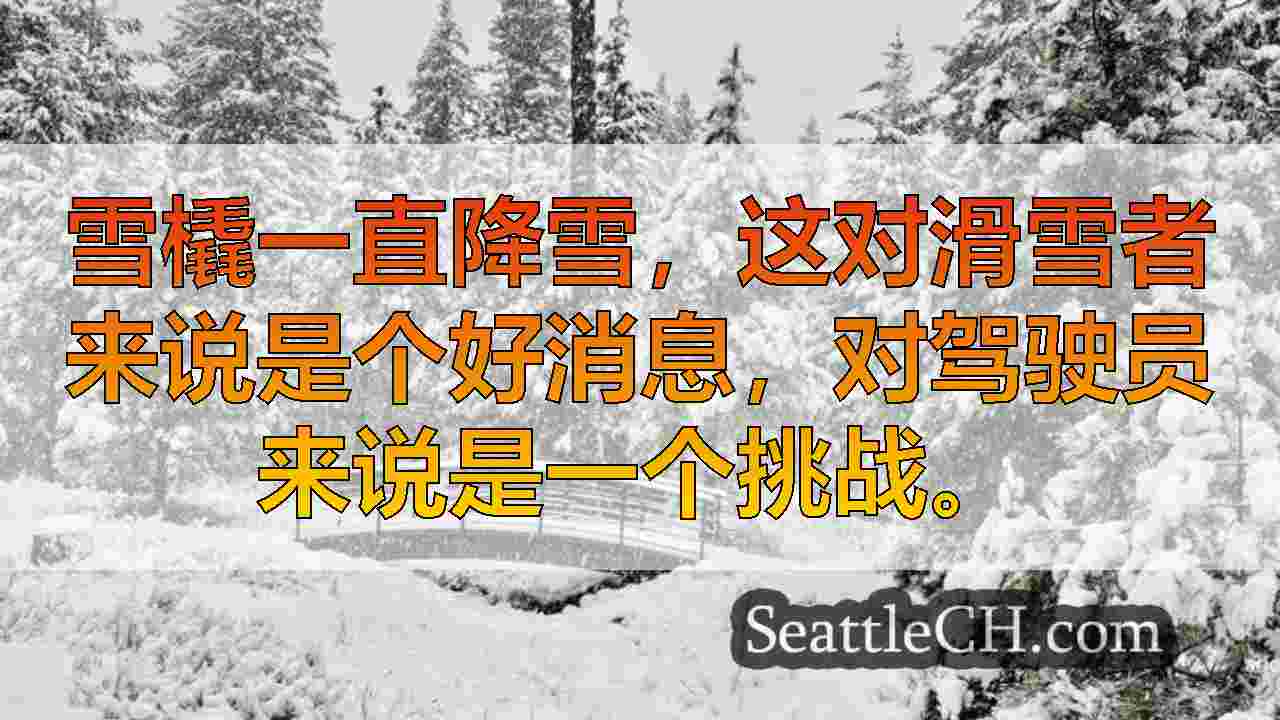 西雅图新闻 SeattleCH