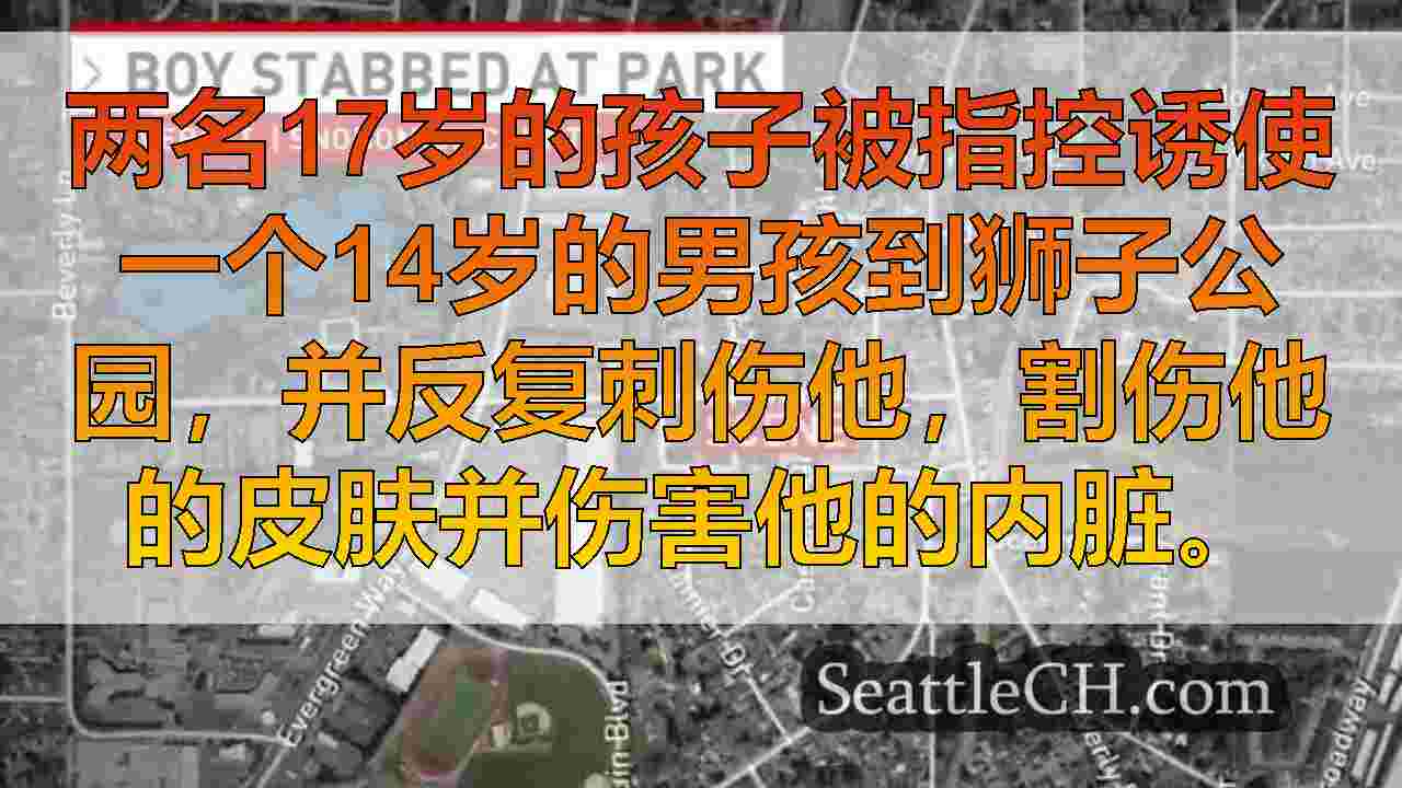 西雅图新闻 SeattleCH