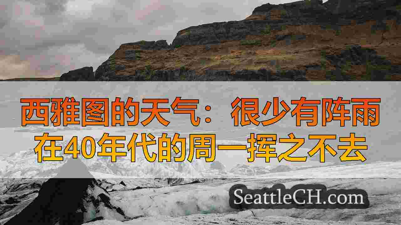 西雅图新闻 SeattleCH