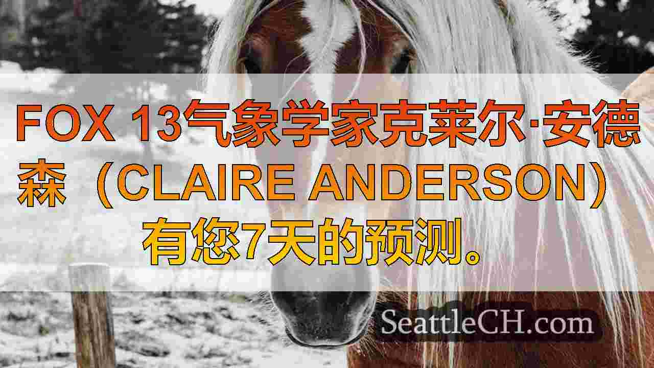 西雅图新闻 SeattleCH