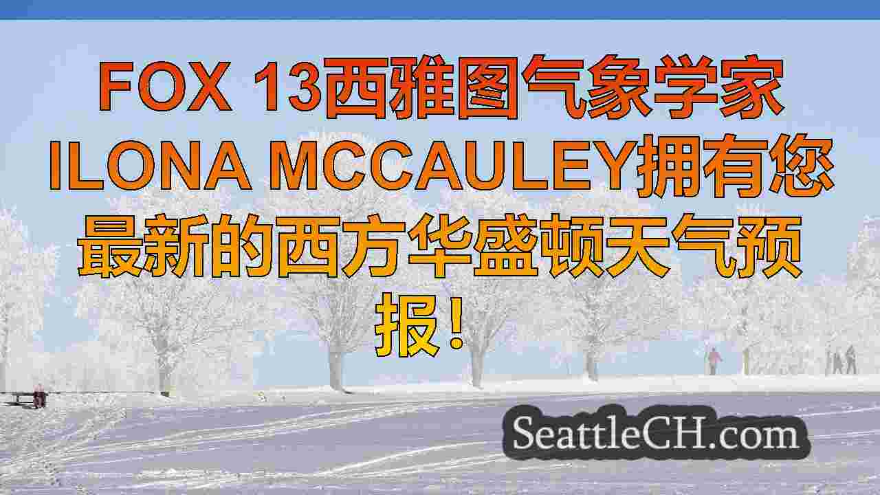 西雅图新闻 SeattleCH