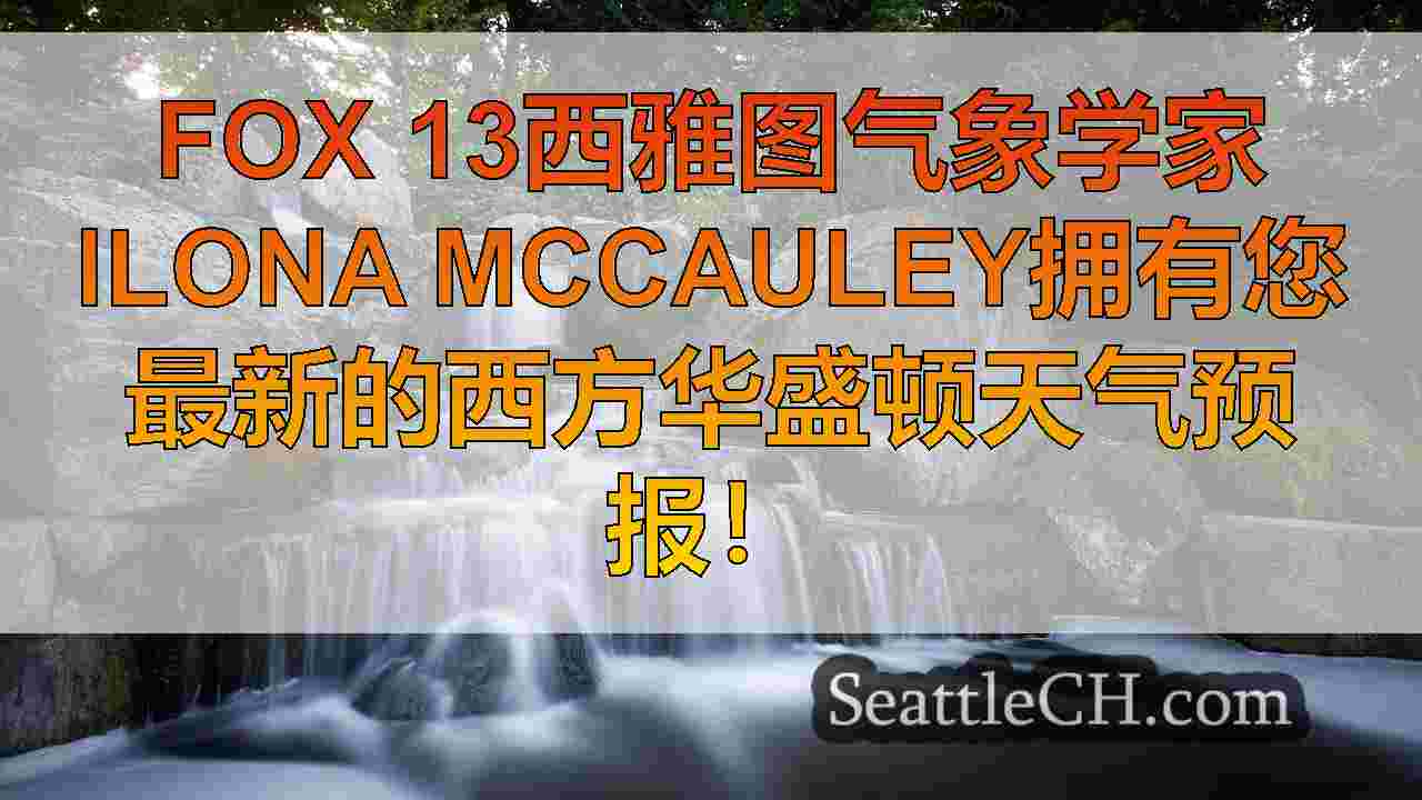 西雅图新闻 SeattleCH