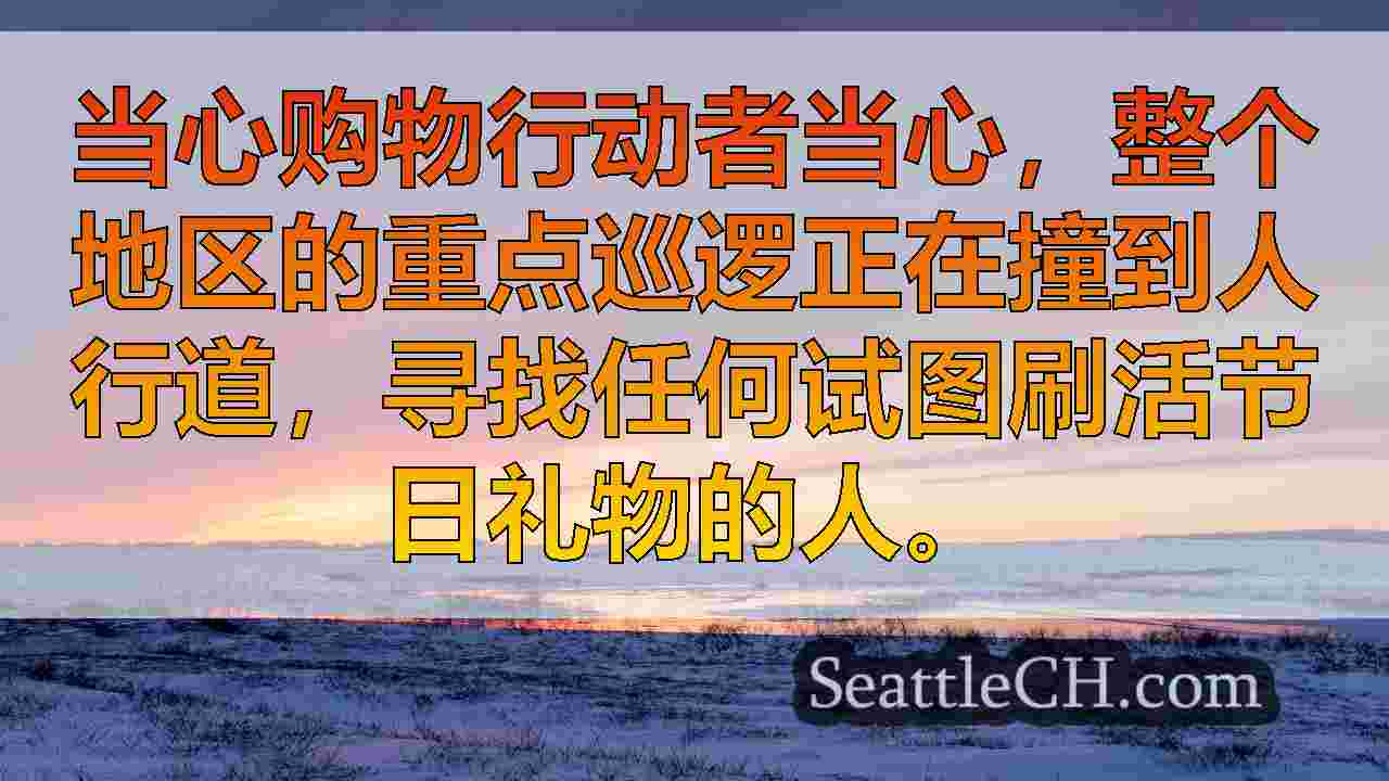 西雅图新闻 SeattleCH