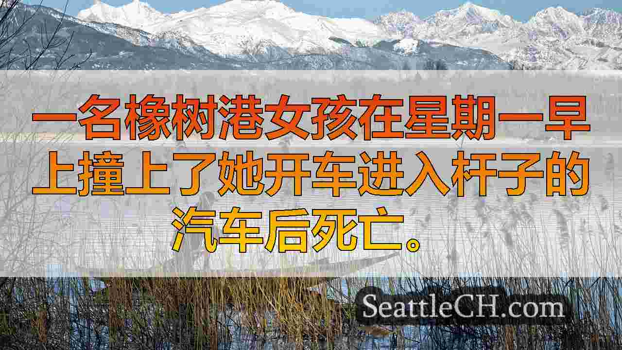 西雅图新闻 SeattleCH