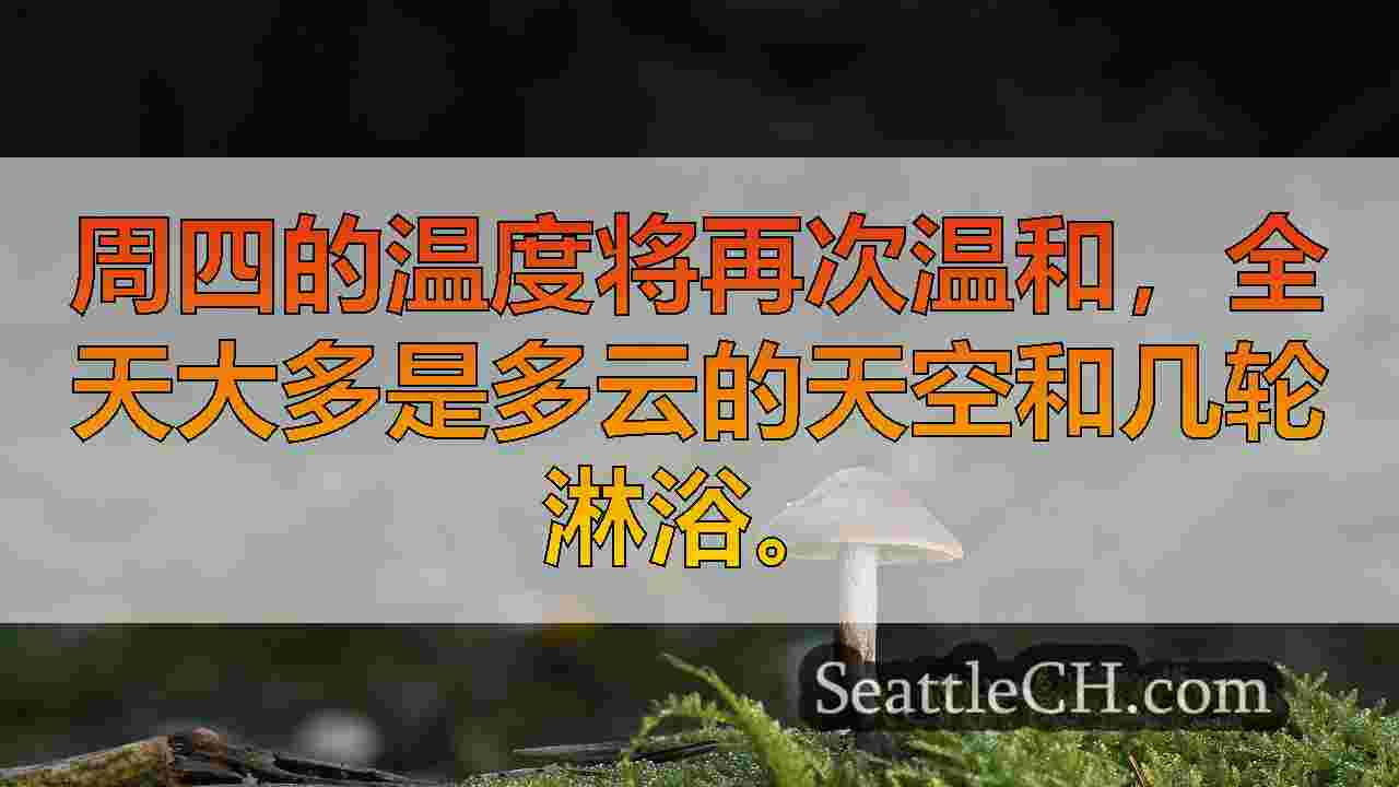 西雅图新闻 SeattleCH