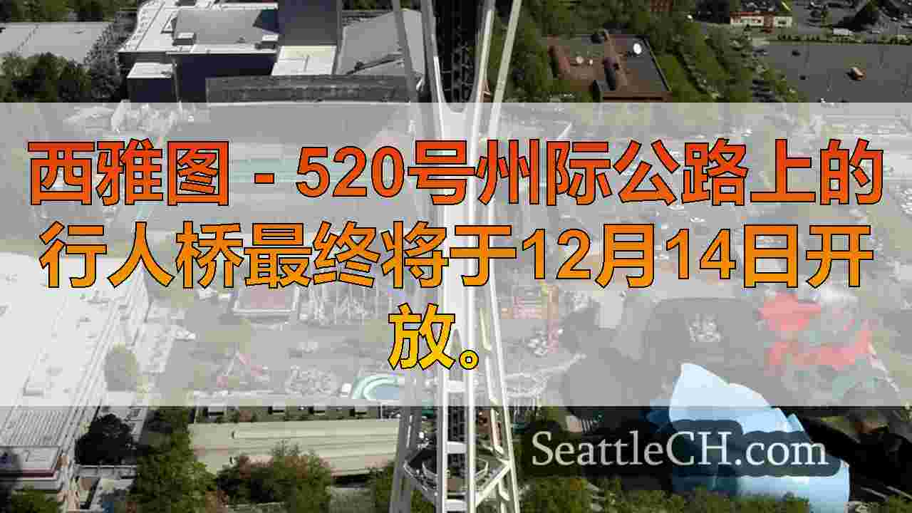 自行车，西雅图蒙特莱克社区的行人桥盛大开业