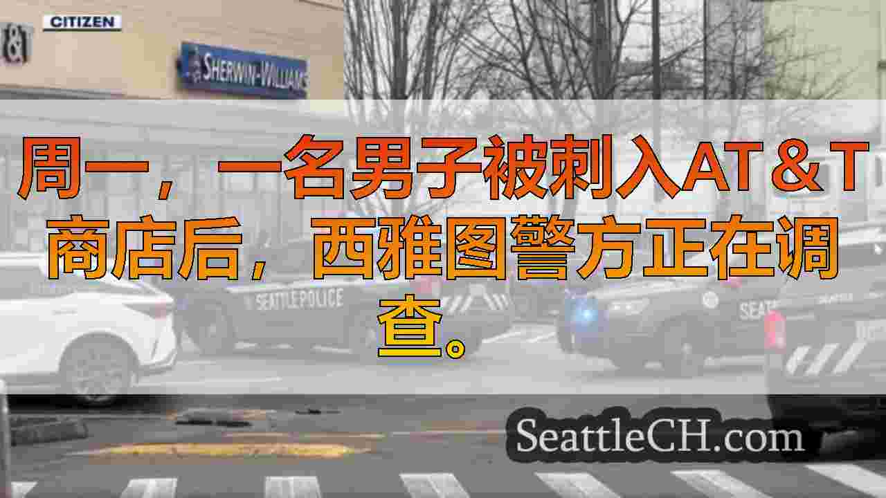 男子被刺入西雅图AT＆T商店，嫌疑人被捕