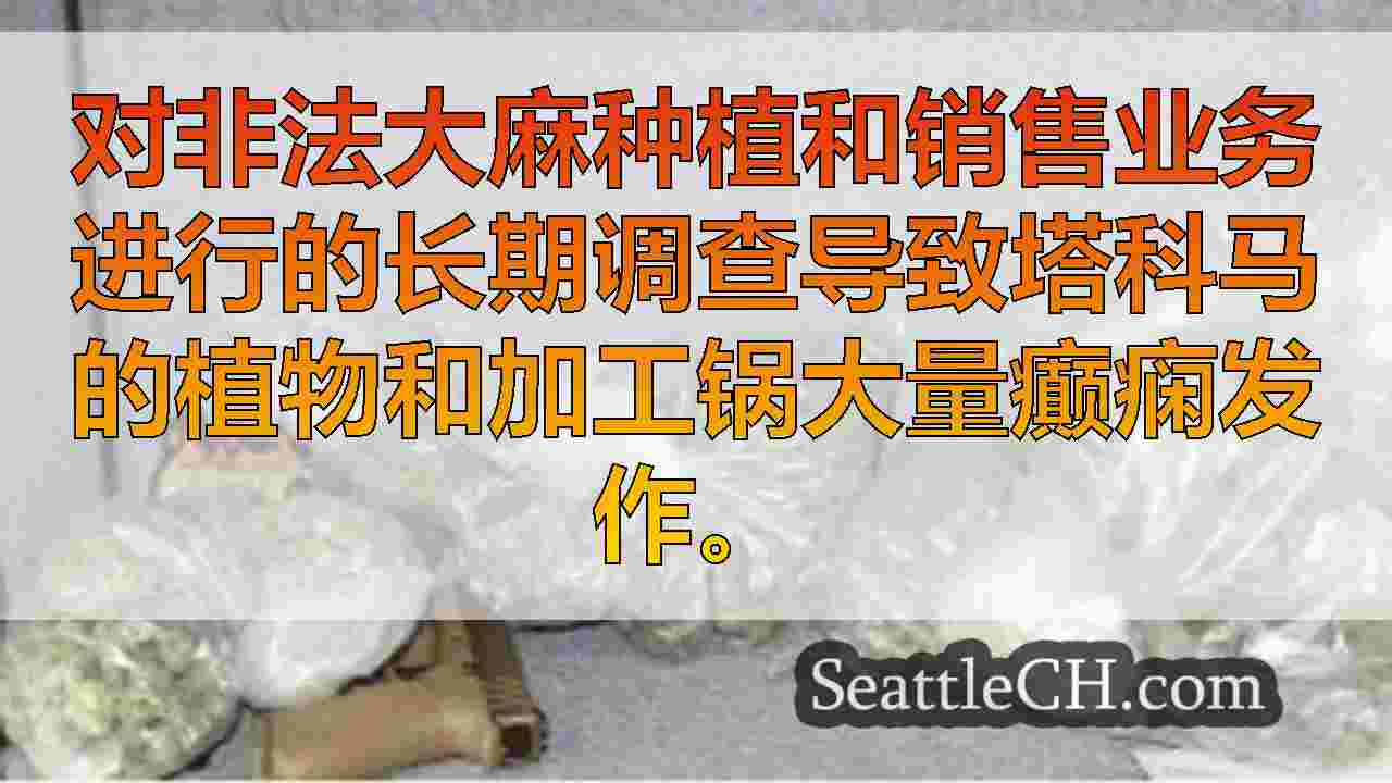 西雅图新闻 SeattleCH