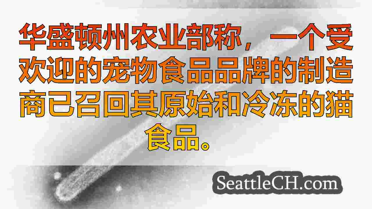 西雅图新闻 SeattleCH