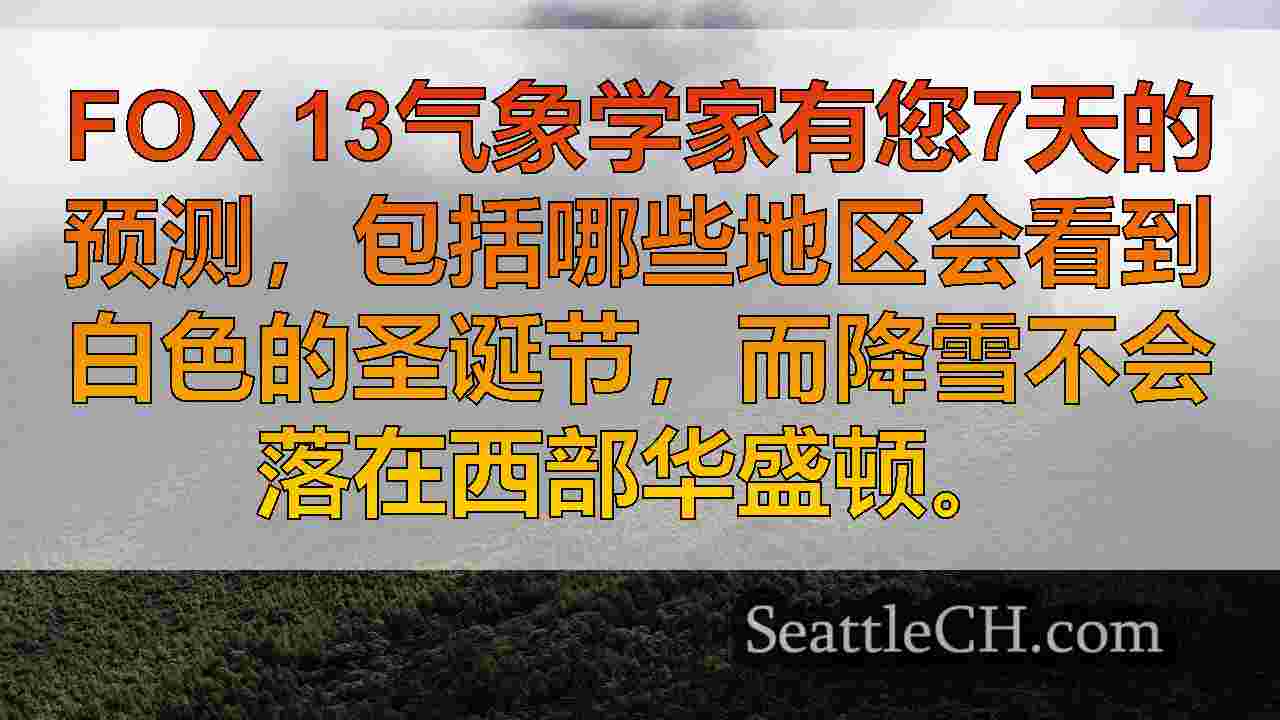 西雅图新闻 SeattleCH