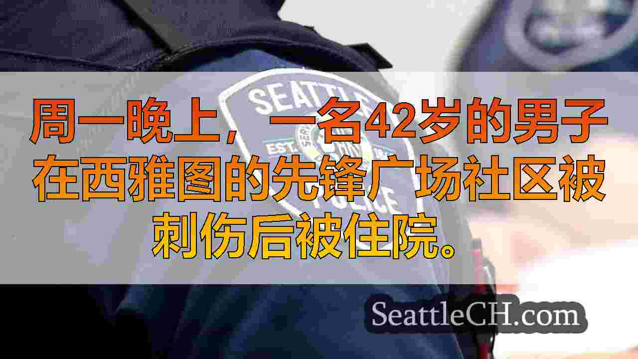 先锋广场刺伤后，西雅图男子处于“严重状态”；奔跑的嫌疑人