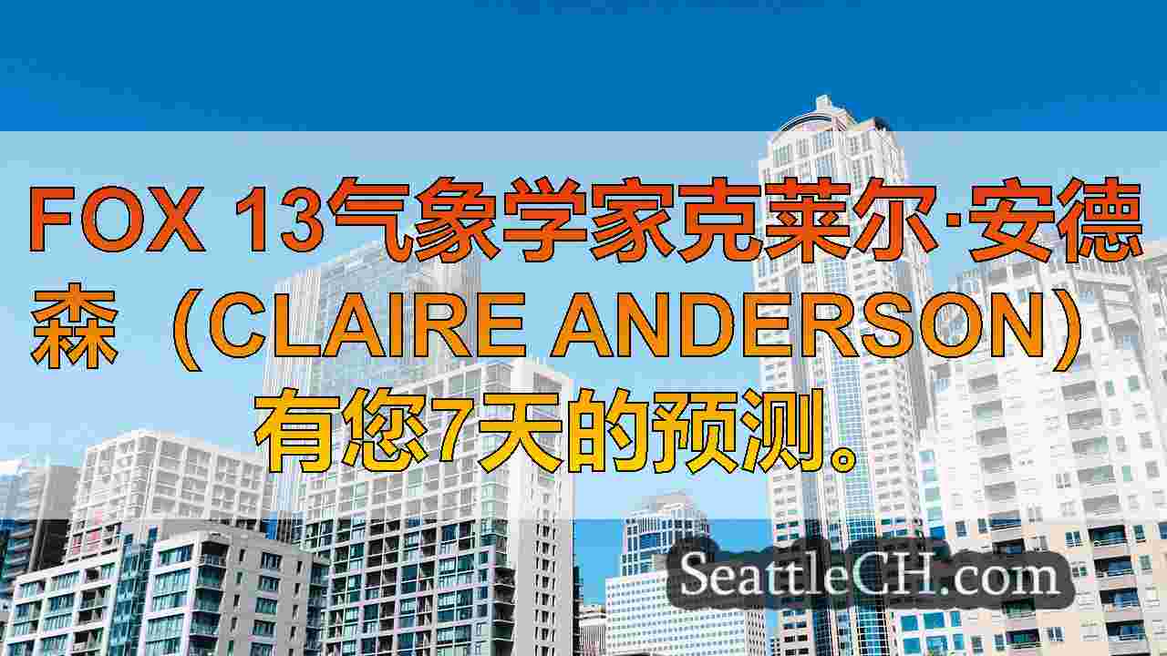 寒冷，有雾开始西雅图工作周，下午阳光星期一