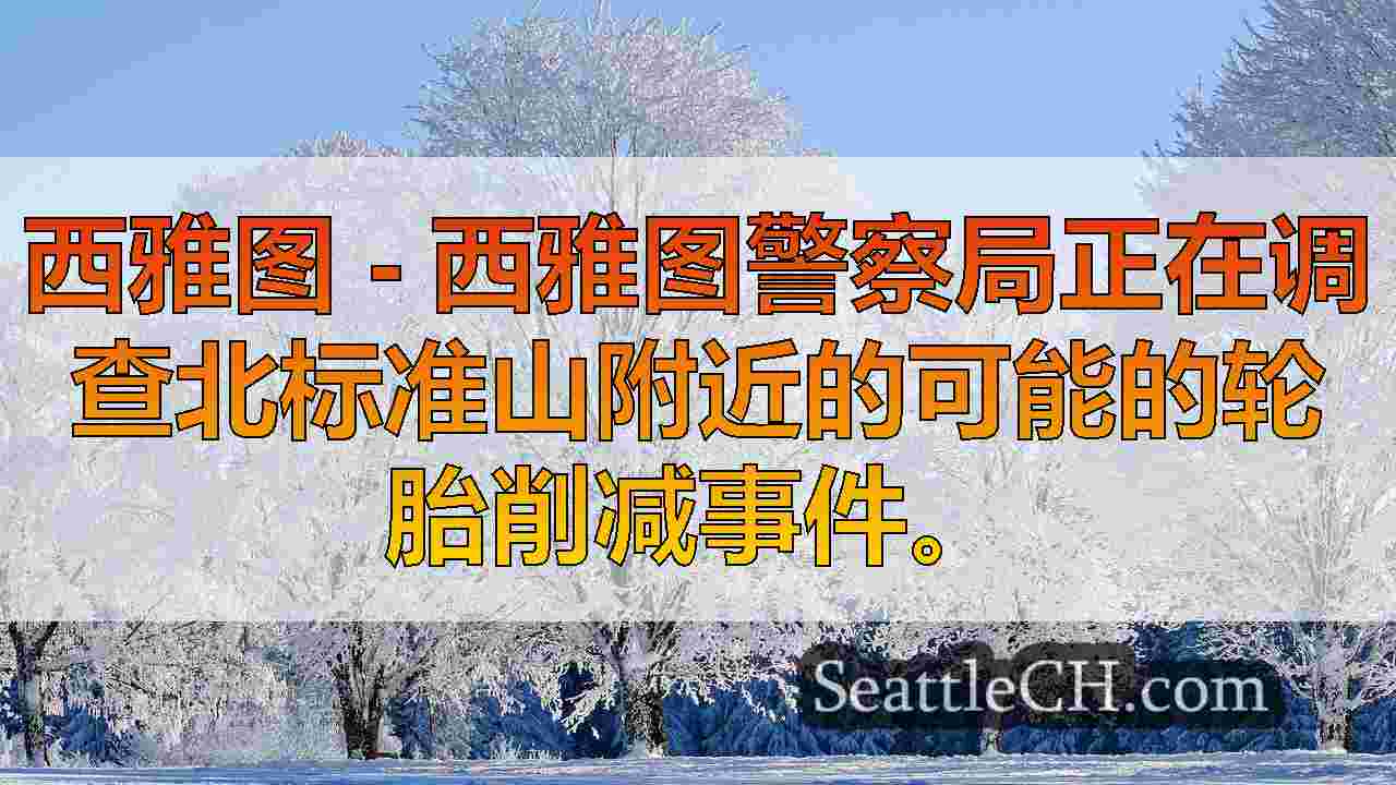 西雅图新闻 SeattleCH