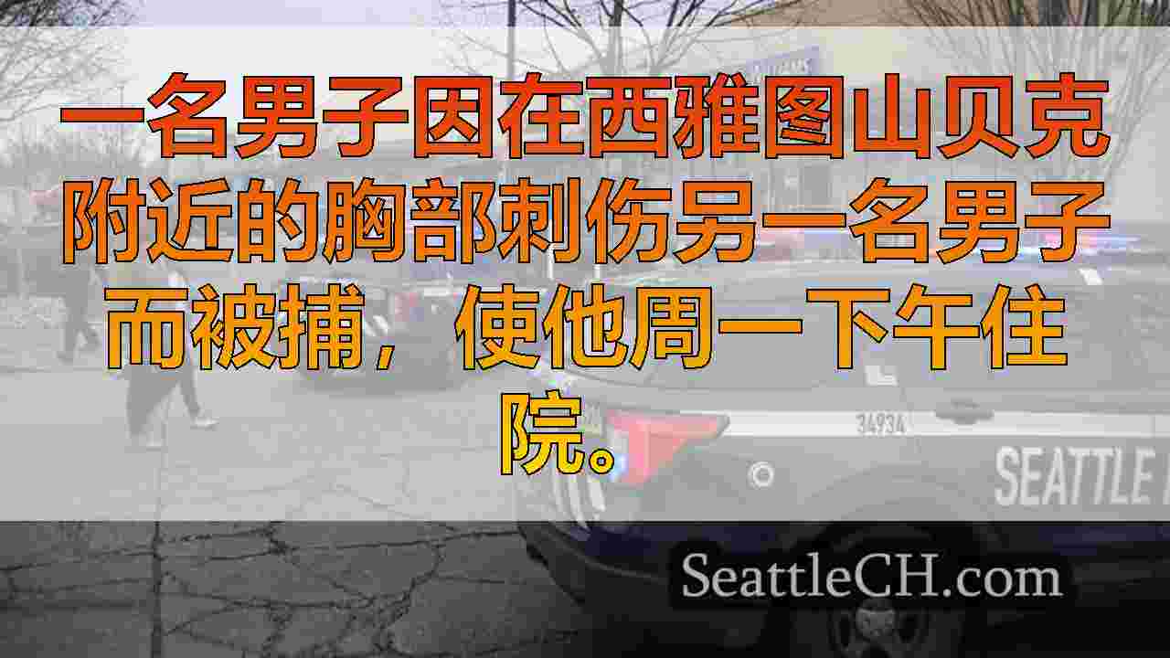 西雅图新闻 SeattleCH