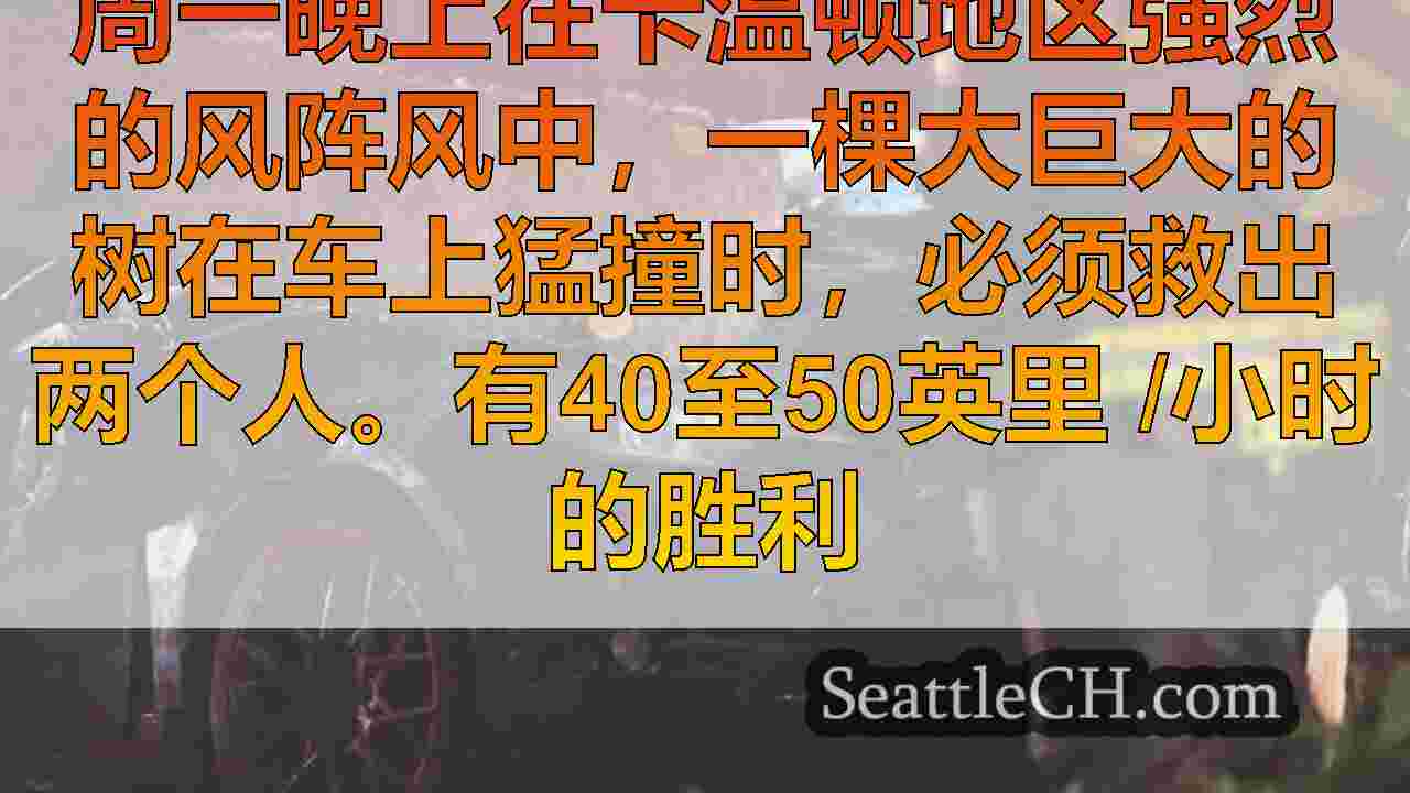 西雅图新闻 SeattleCH