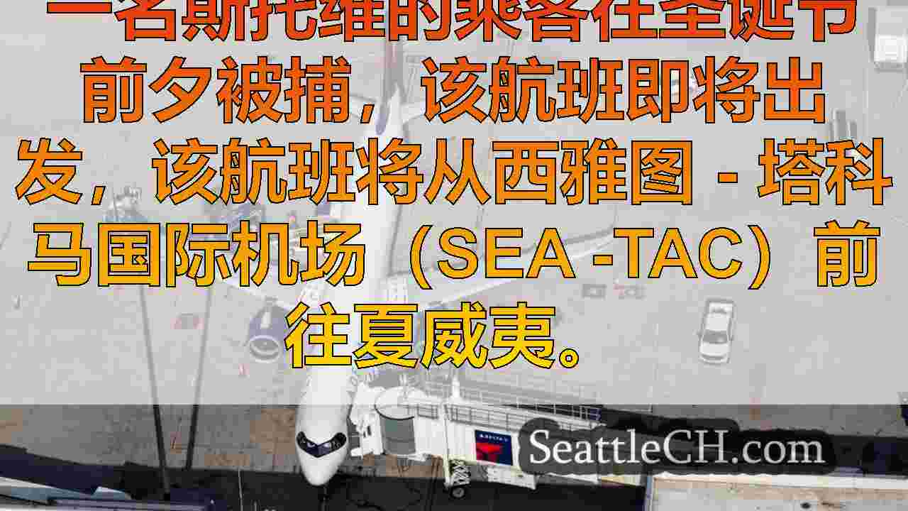 未售票的乘客因在Sea-Tac经过TSA而被捕，登机飞往夏威夷
