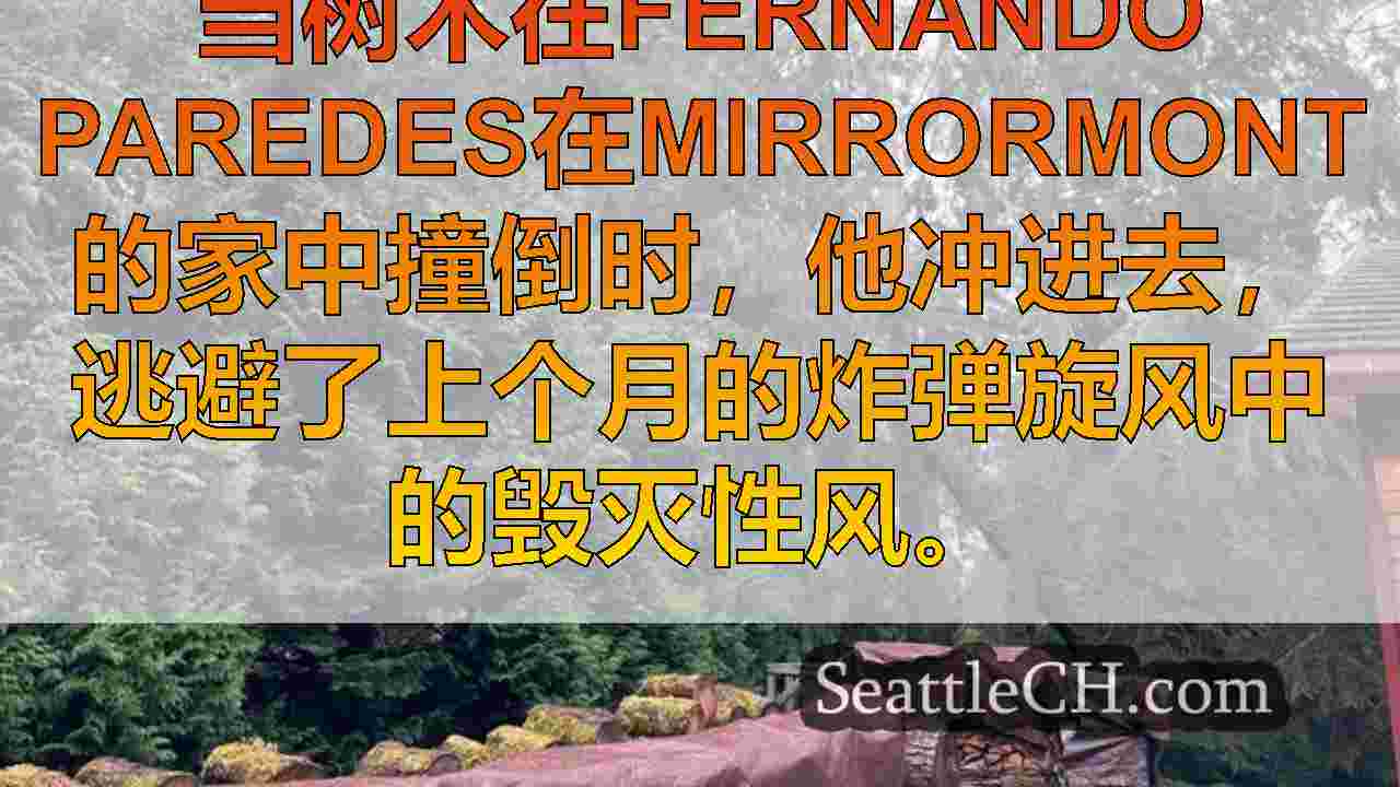 西雅图新闻 SeattleCH