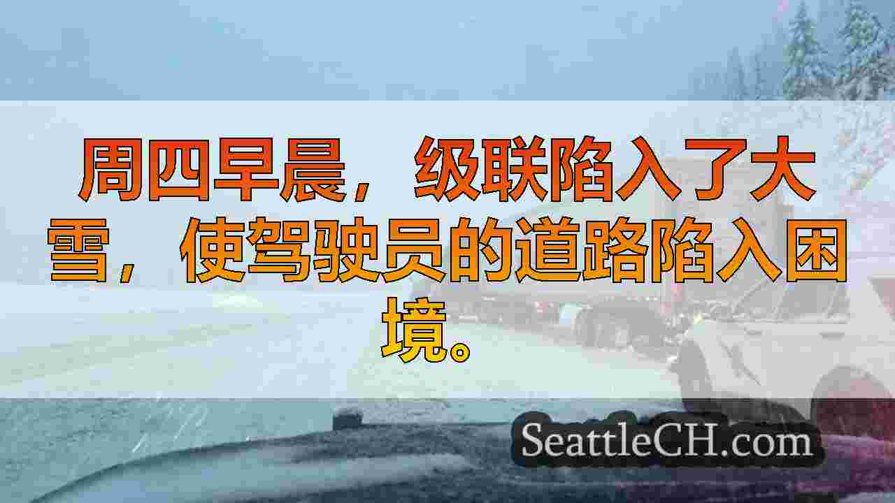 西雅图新闻 SeattleCH