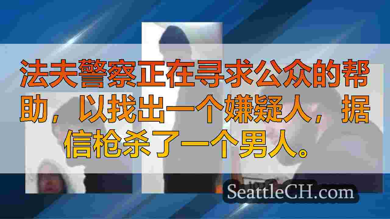 法夫警察希望识别嫌疑人是谁在头上开枪